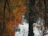 E Photo - E10